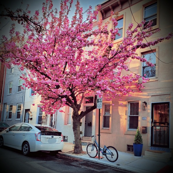 Meet your Posher, Evelyng - Picture 1 of 1